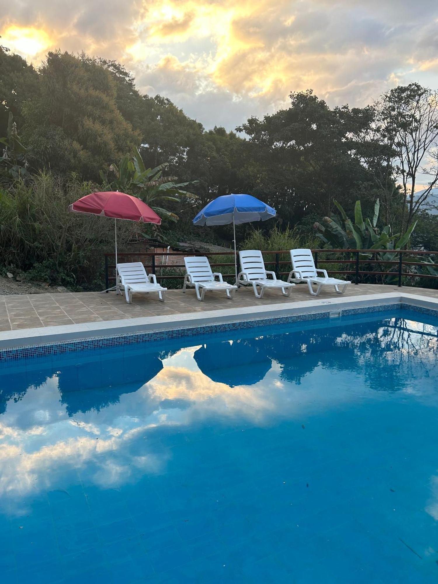 Villa Camila Hostel Coroico Dış mekan fotoğraf